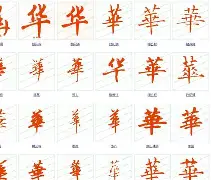 华尔索尔力克对手，实力逐渐提升导向成功