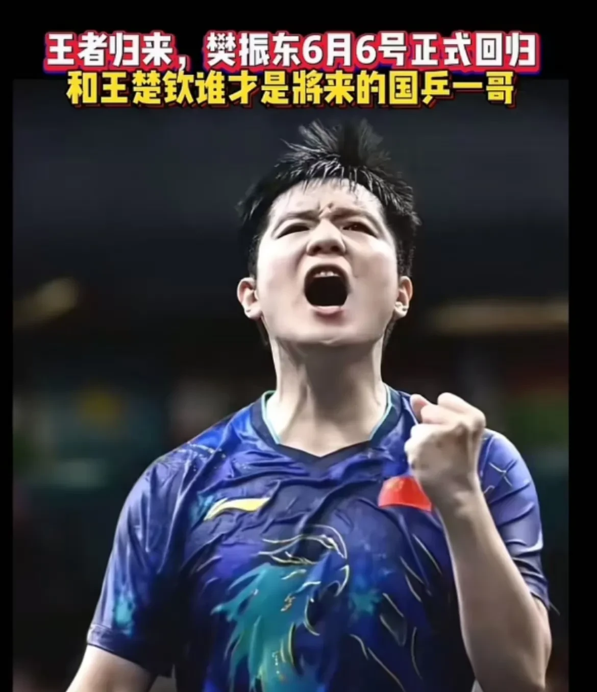 波兰乒乓球队绝杀中国乒乓球队，王皓关键制胜的简单介绍