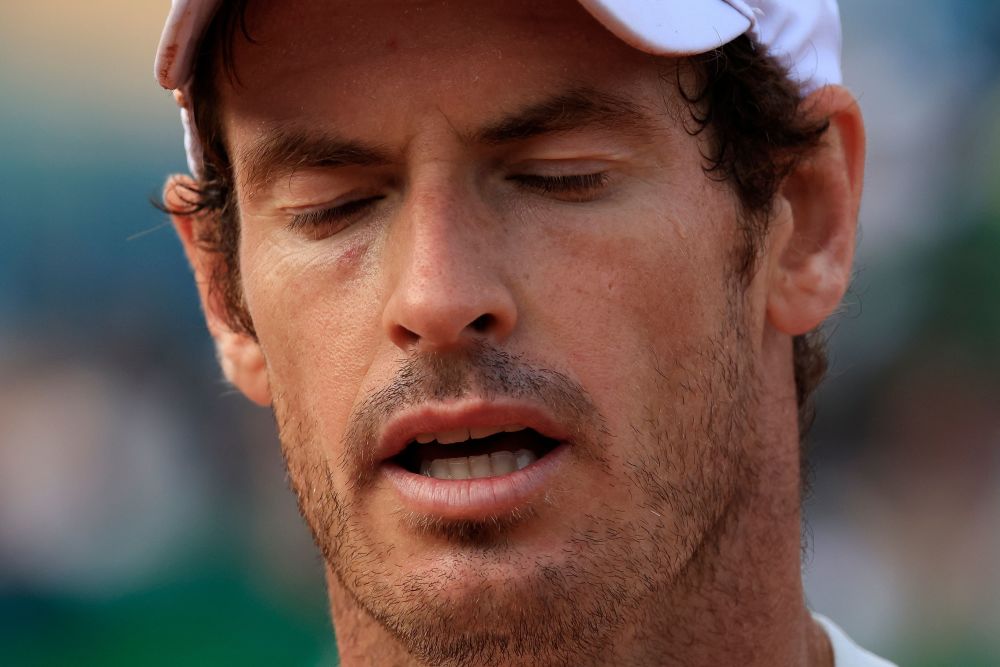 包含蒙特卡洛大师赛完胜澳网，穆雷点燃赛场的词条